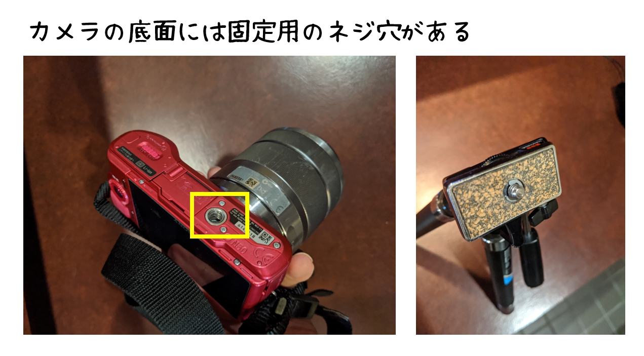 通常のカメラの底面