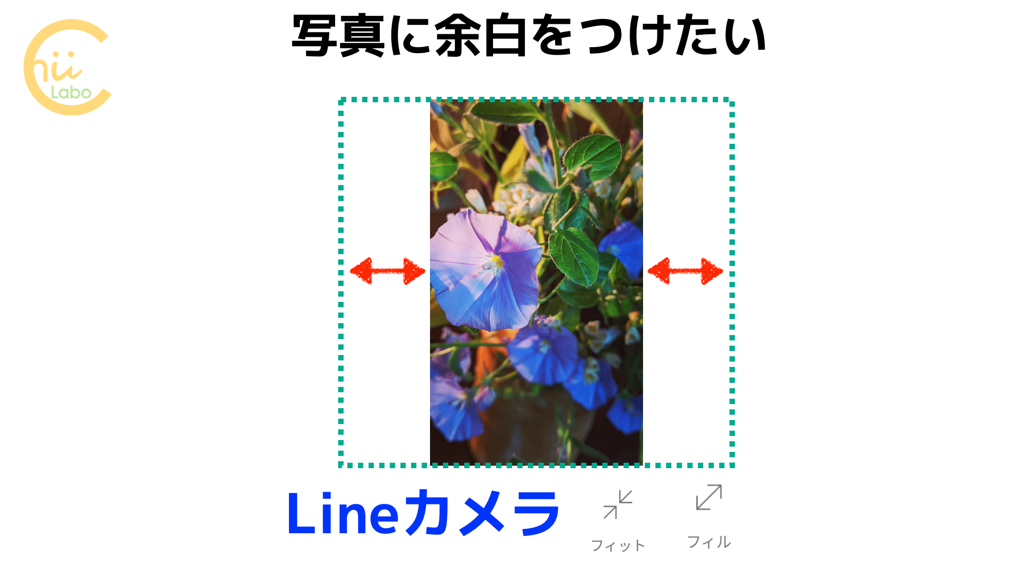 写真に余白をつけたい Lineカメラの フィット と フィル スマホ教室ちいラボ