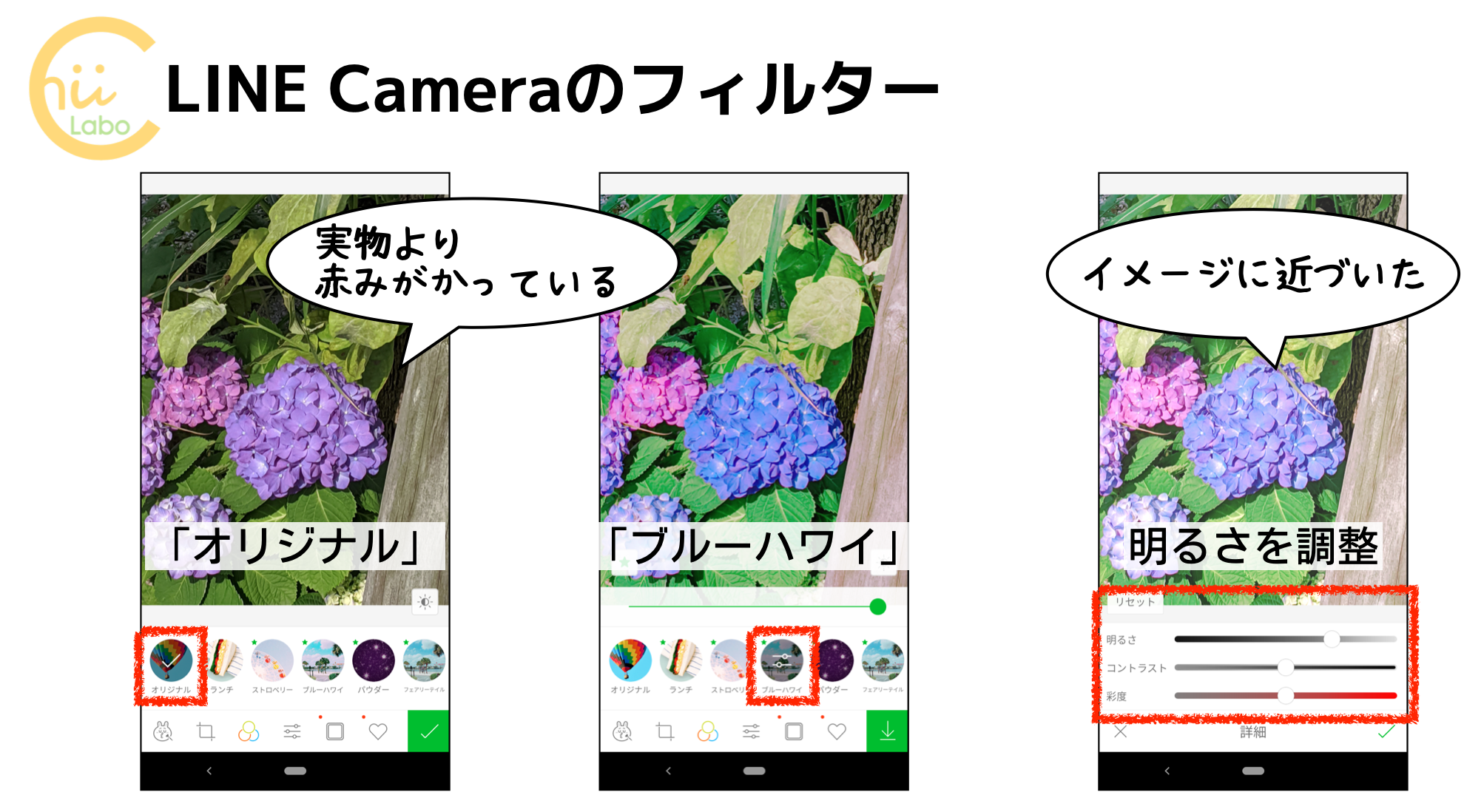 アジサイは何色? 〜LINE Cameraのフィルター