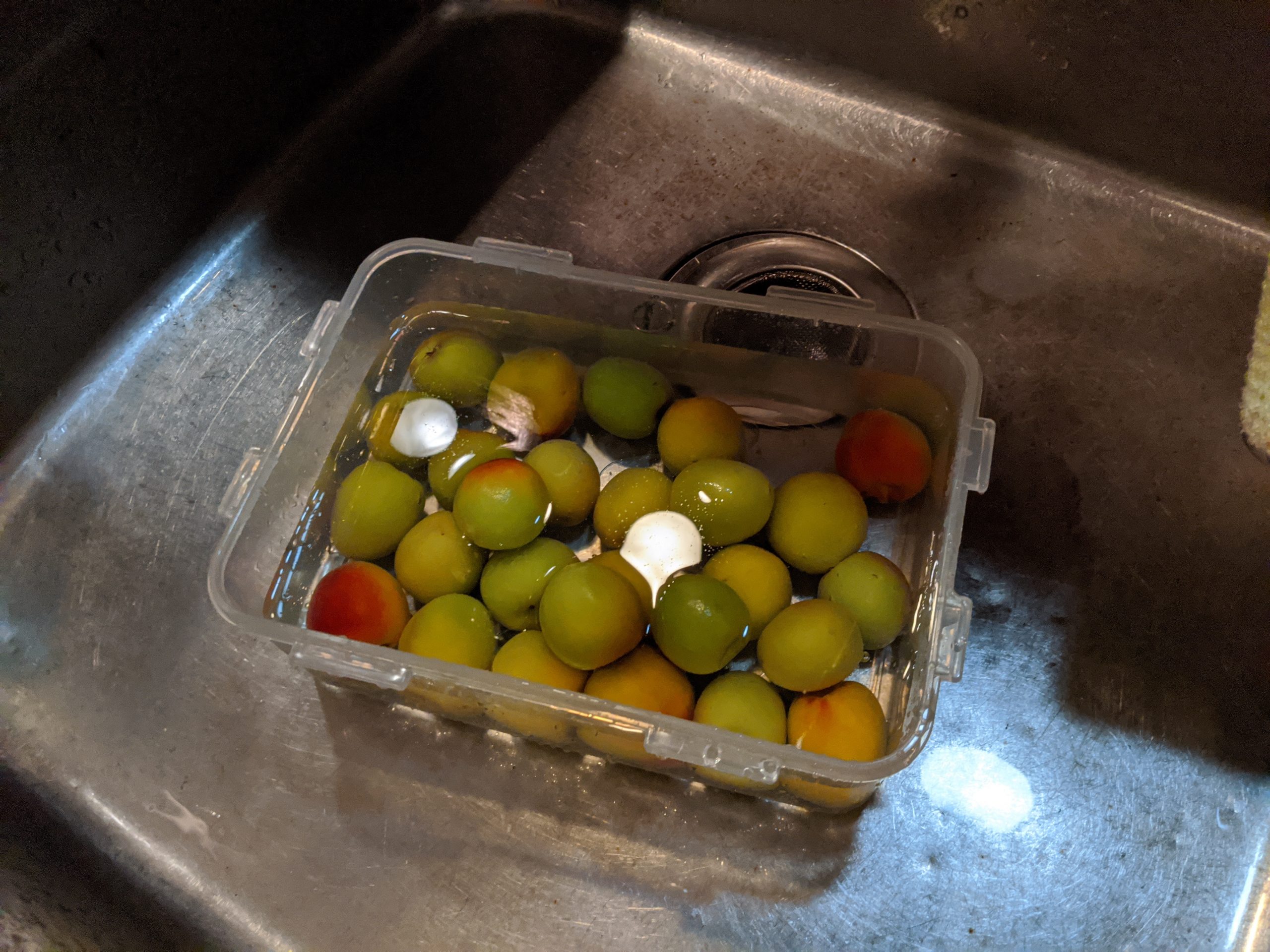 凍らせてから氷砂糖に漬けました