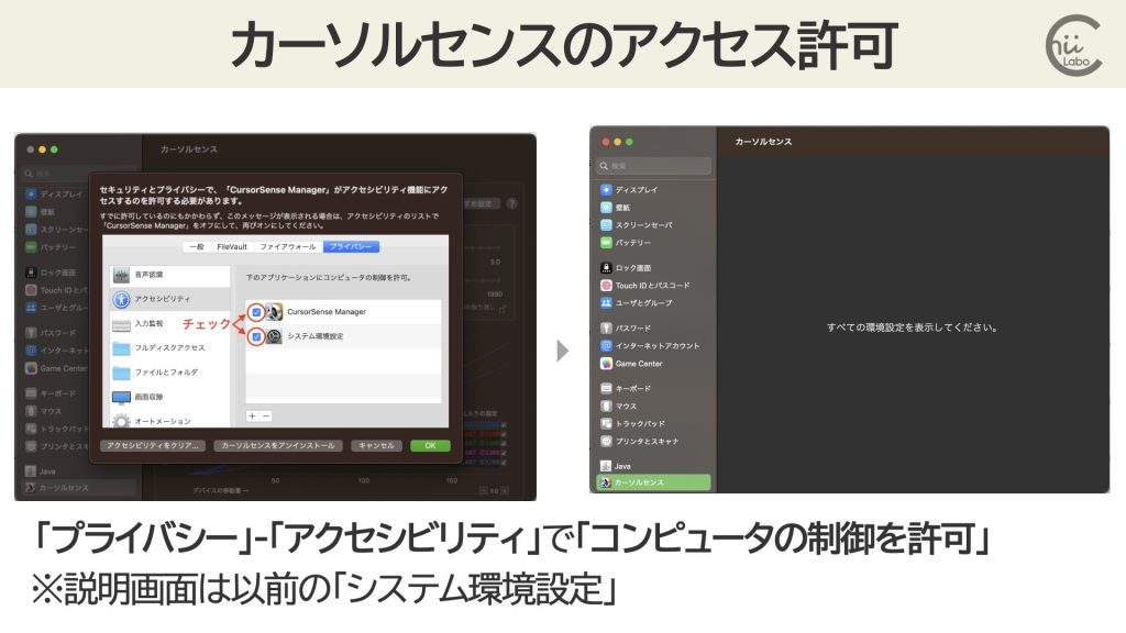 アクセシビリティの設定